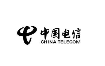 中國電信部門調(diào)整！設(shè)立網(wǎng)絡(luò)和信息安全管理部